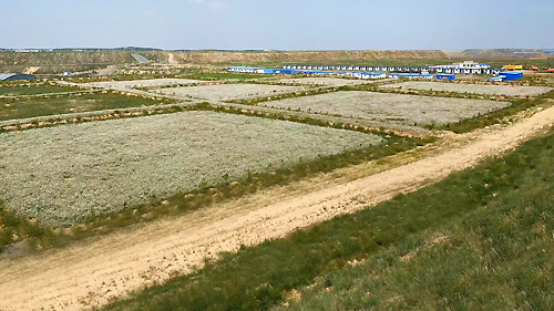 银娱优越会·GEG(中国)股份有限公司